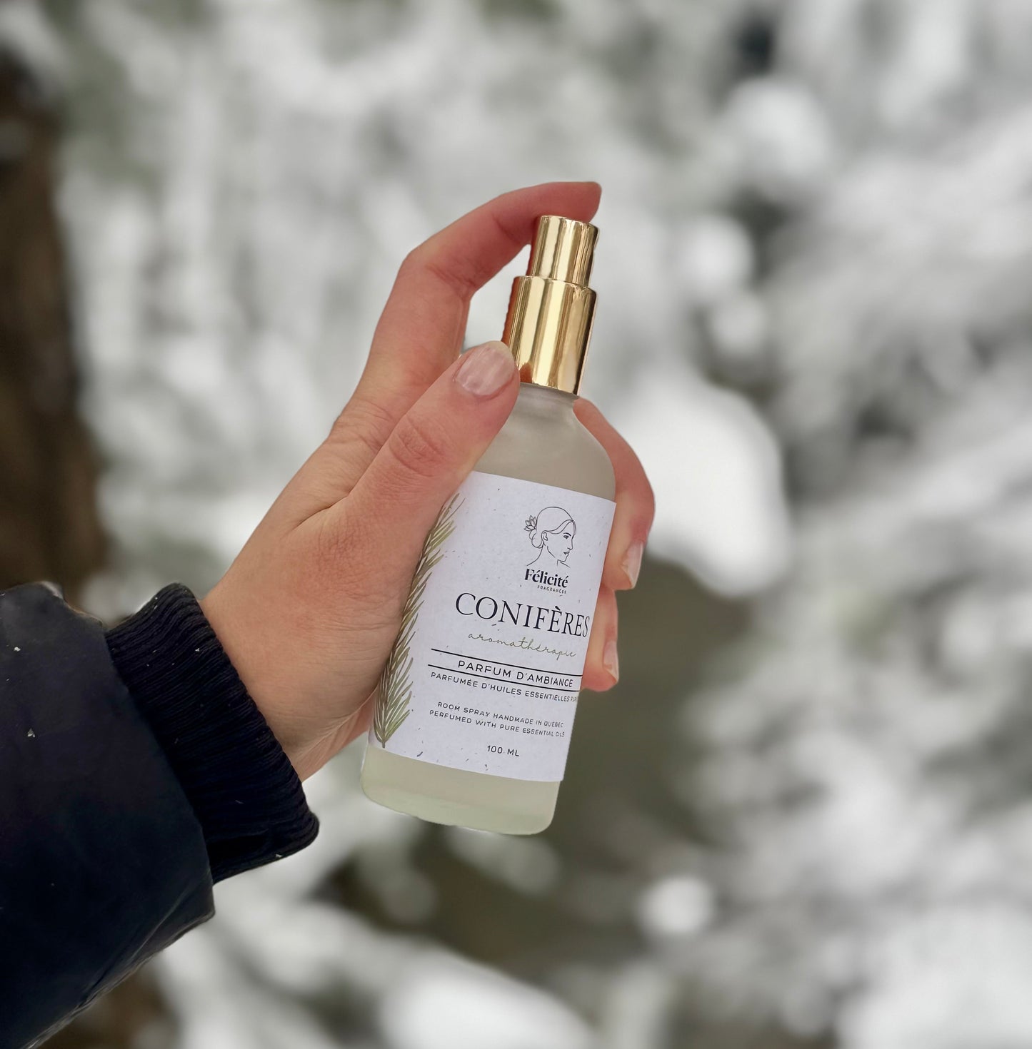 Parfum d’ambiance - Conifères